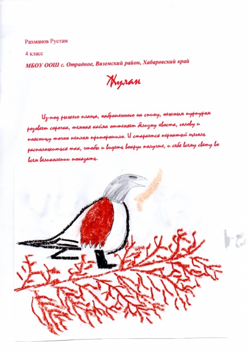 зайка познайка