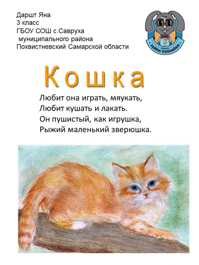 зайка познайка