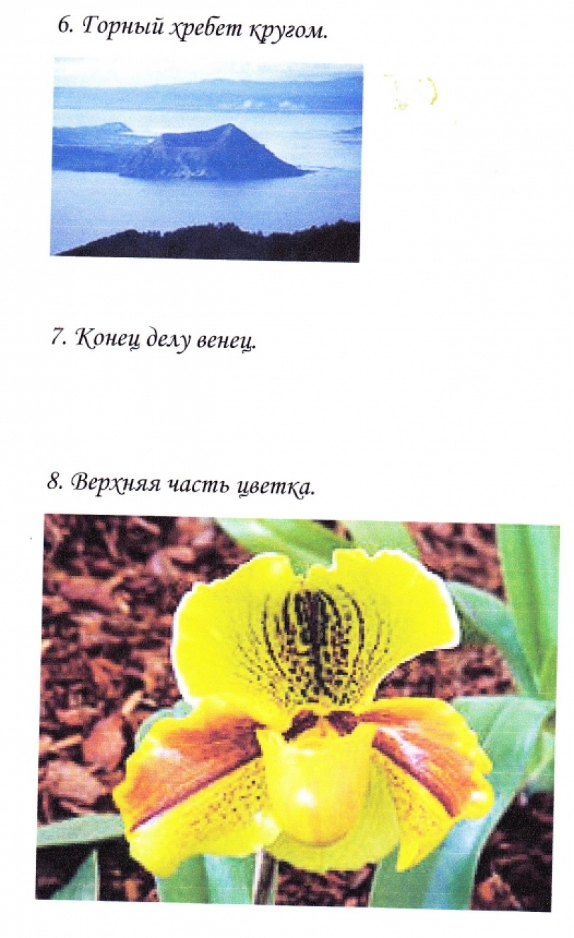 зайка познайка