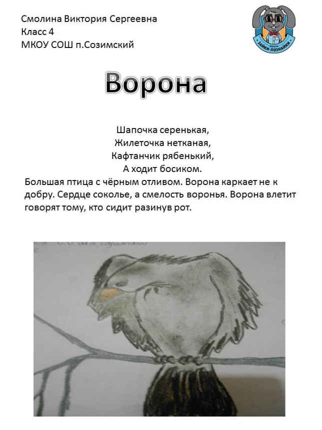 зайка познайка