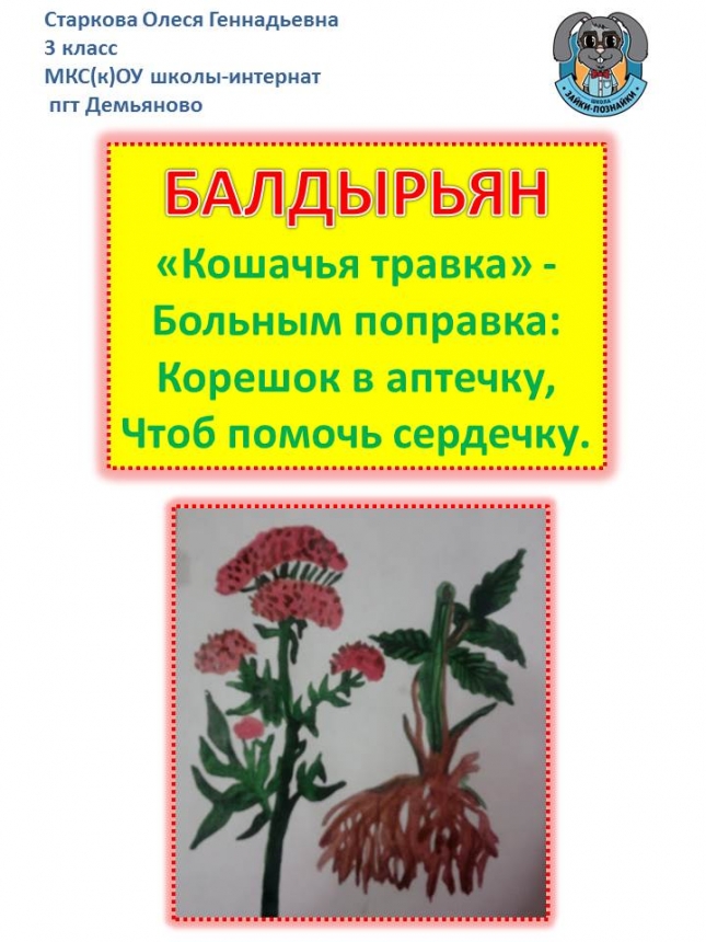 зайка познайка